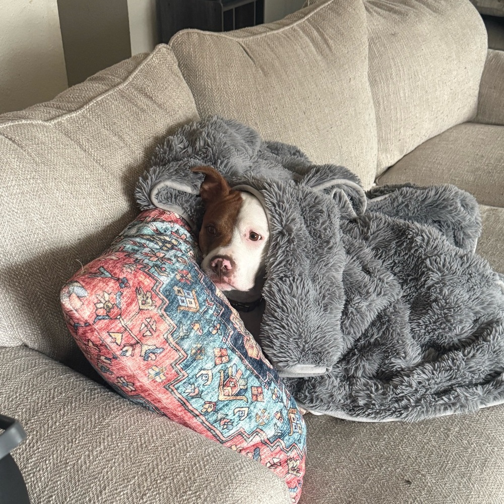 Meet your Posher, Tyrell